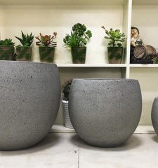  Khám Phá Sức Hút Của Chậu Xi Măng Đá Mài Trong Thiết Kế Nội Thất Hiện Đại