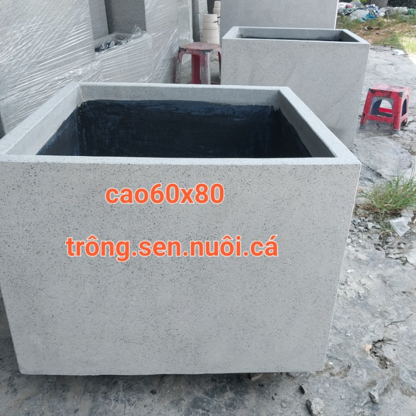 Chậu trồng sen nuôi cá