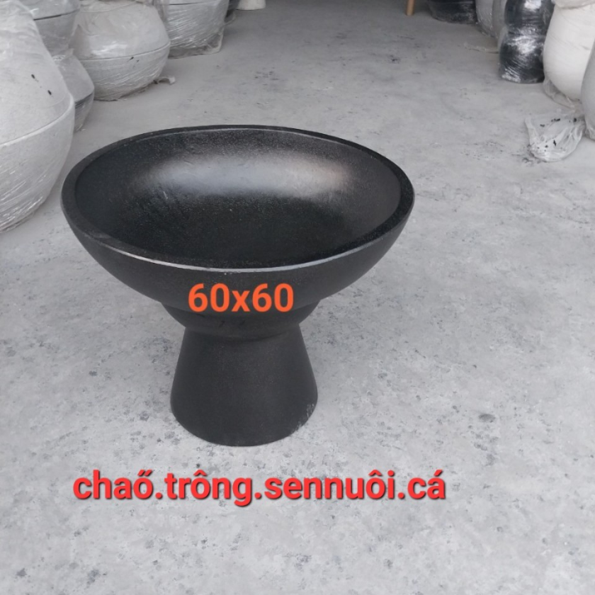 Chảo xi măng trồng sen nuôi cá