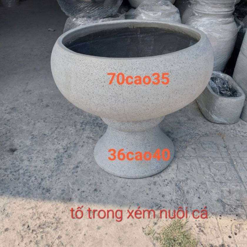 Chậu tô trong nuôi cá