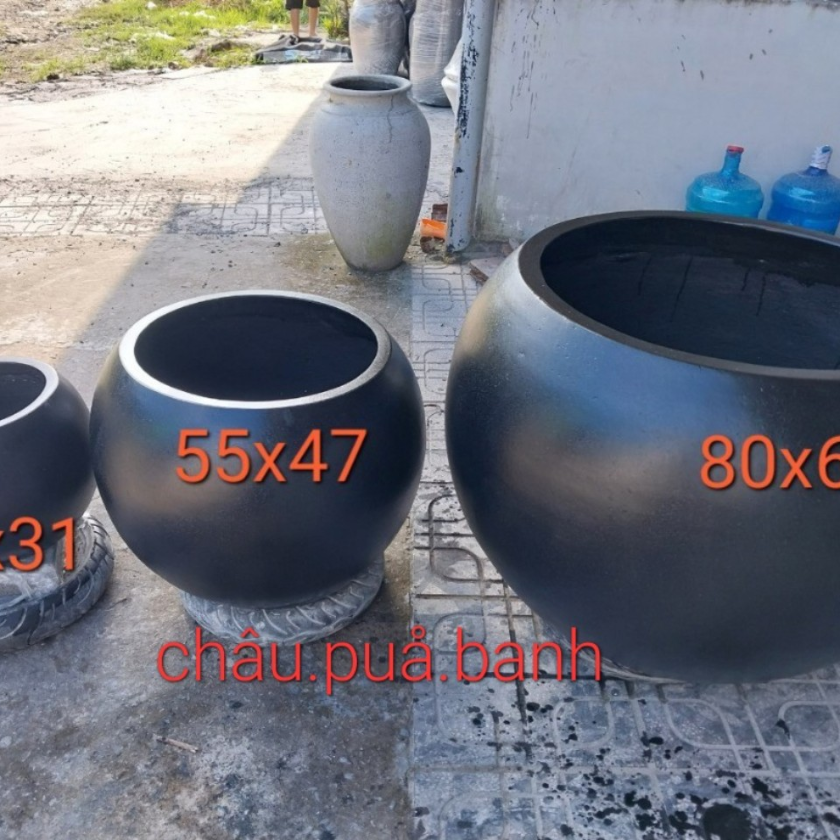 Chậu banh
