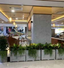Xưởng sản xuất chậu xi măng đá mài tại Bình Dương - Long Bảy Tài