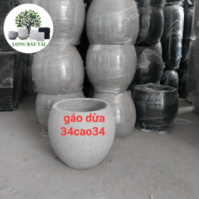 Chậu gáo dừa 34x34