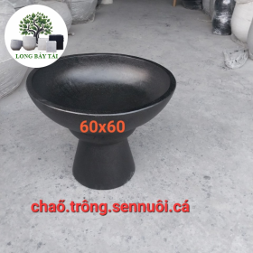 Chảo xi măng trồng sen nuôi cá